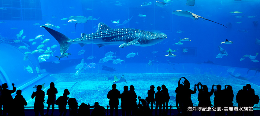 美麗海水族館